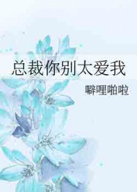 总裁你别太嗳我